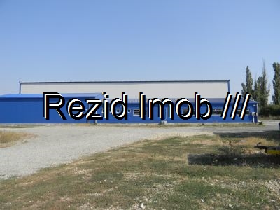Spatiu industrial Chitila