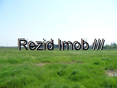 Teren intravilan Buftea Otetarie