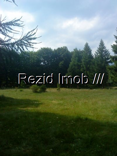 Teren intravilan Sinaia Moroieni