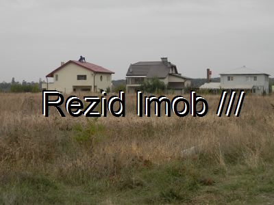 Teren intravilan Buftea Crevedia