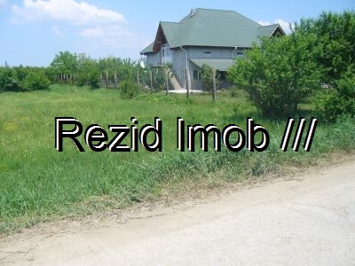 Teren intravilan Buftea Crevedia