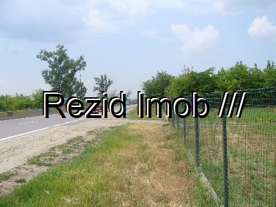 Teren intravilan Buftea DN7