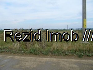 Teren intravilan Buftea Flamanzeni