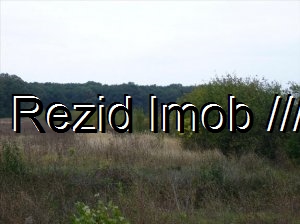 Teren extravilan Butimanu
