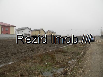 Parcelari Buftea Darza