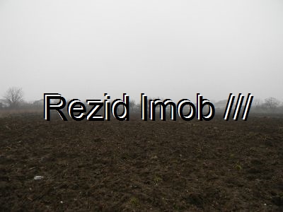 Teren intravilan Buftea