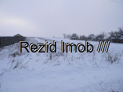 Teren intravilan Buftea Samurcasi