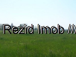 Teren intravilan Buftea Flamanzeni