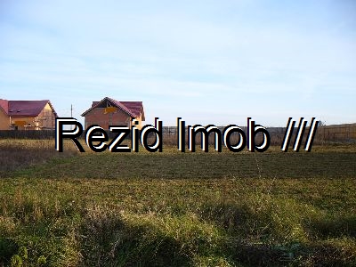 Teren intravilan Buftea Crevedia