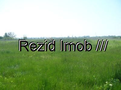 Parcelari Buftea Darza
