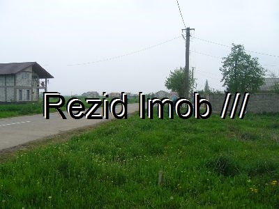 Teren intravilan Buftea Crevedia
