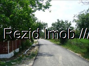 Teren intravilan Buftea Crevedia