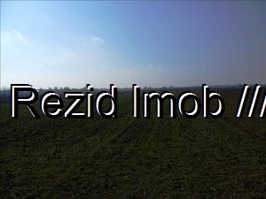 Teren intravilan Buftea Crevedia