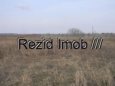 Teren extravilan Tamasi