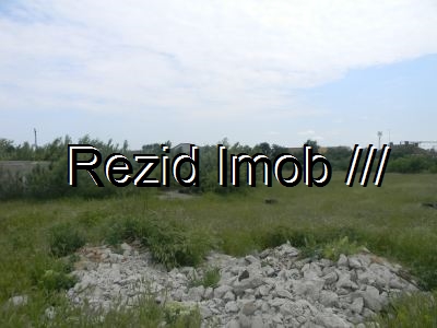 Teren extravilan Tamasi