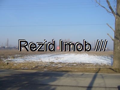 Teren extravilan Tamasi