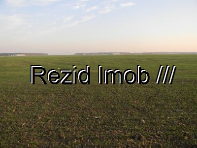 Teren extravilan Buftea