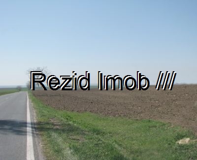 Teren agricol Saraiu