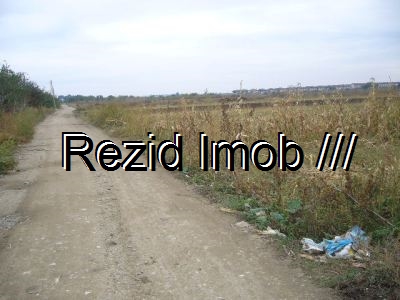 Teren intravilan Buftea Crevedia