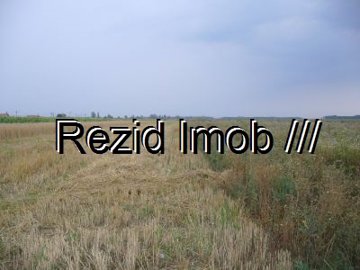 Teren agricol Buftea Crevedia