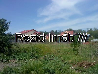 Teren intravilan Buftea Flamanzeni
