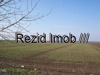 Teren agricol Salcioara - DN71