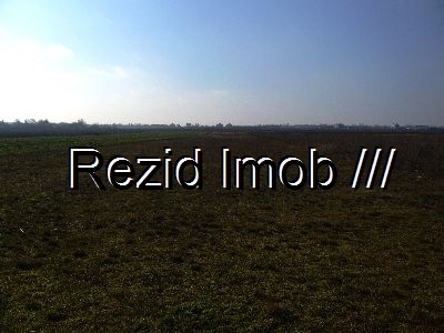 Teren extravilan Brezoaia