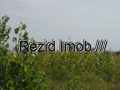Teren extravilan Tartasesti
