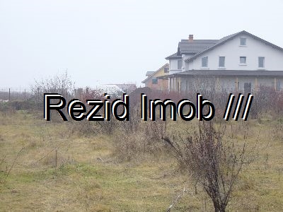 Teren intravilan Mogosoaia 