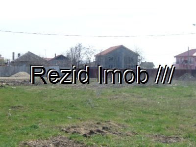 Teren intravilan Buftea Flamanzeni