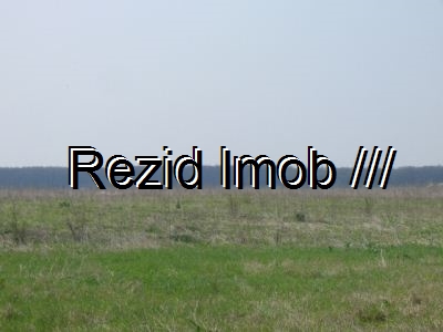 Teren intravilan Buftea Flamanzeni