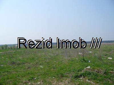 Teren intravilan Buftea Flamanzeni