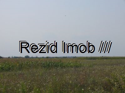 Teren intravilan Buftea Rombiz