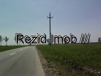 Teren intravilan Buftea Flamanzeni