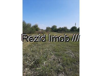 Teren extravilan Buftea Darza