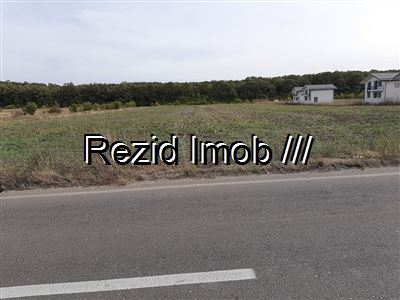 Teren intravilan Buftea Samurcasi