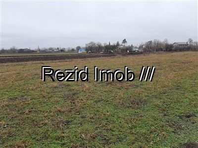 Teren intravilan Crevedia-Cocani